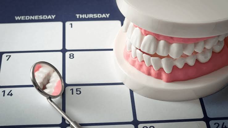 Dental model and calendar — book your appointment at Pureflow Dental Hygiene